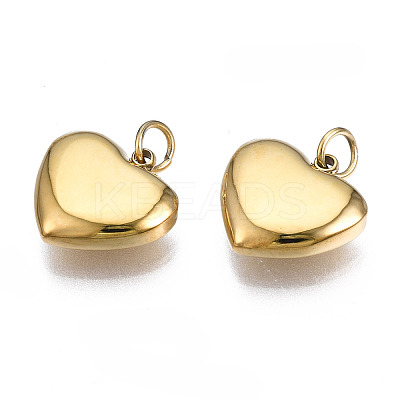 316 Surgical Stainless Steel Charms LS-STAS-N097-045-1