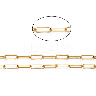 304 Stainless Steel Paperclip Chains CHS-S008-010G-1