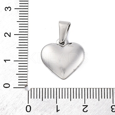 304 Stainless Steel Pendants STAS-P278-01S-P-1-1