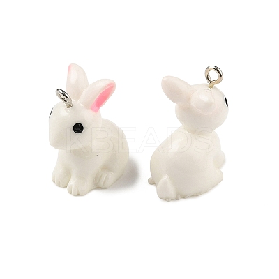 Resin Pendants X-RESI-S356-53-1
