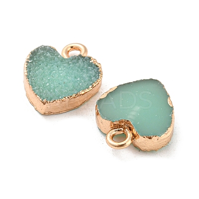 Resin with Golden Zinc Alloy Charms RESI-CJC0009-04D-1