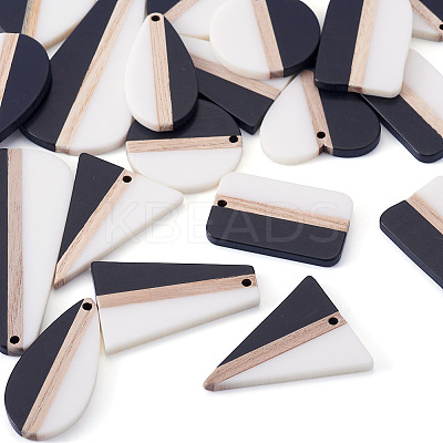 20Pcs 10 Styles Resin & Natural Wood Pendants RESI-TA0004-48-1