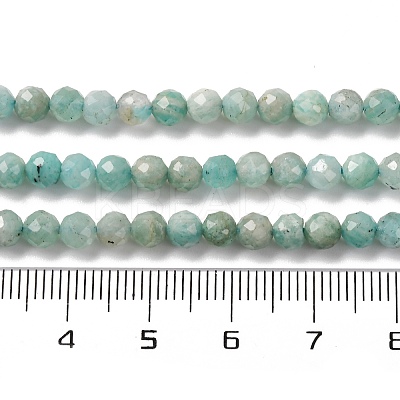 Natural Amazonite Beads Strands G-G140-A18-03-A-1