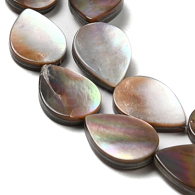 Natural Sea Shell Beads Strands SHEL-K006-39-1