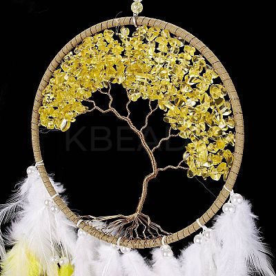 Iron Woven Web/Net with Feather Pendant Decorations AJEW-B017-12-1