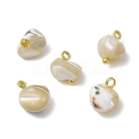 Natural Trochus Shell Nuggets Charms with Brass Loops PALLOY-JF03586-01-1