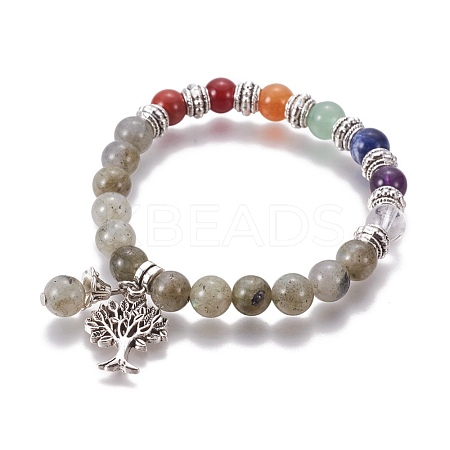 Chakra Jewelry BJEW-I273-A04-1