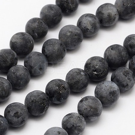 Natural Larvikite Beads Strands G-D692-12mm-1