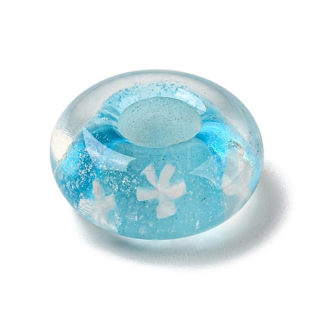 Glass European Beads GLAA-XCP0001-40A-1