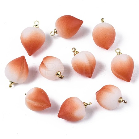Opaque Resin Pendants RESI-T051-09B-1