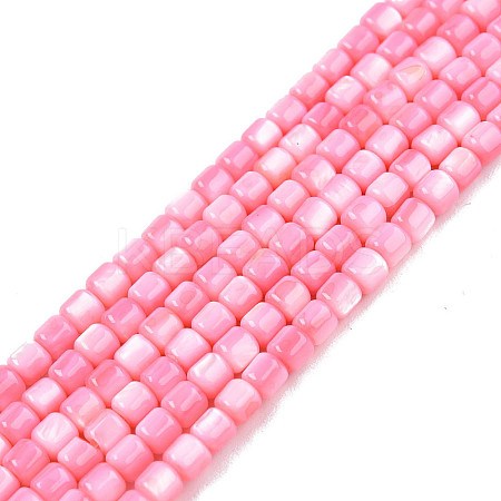 Natural Freshwater Shell Beads Strands X-SHEL-N003-33-A09-1