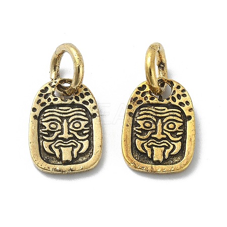 Tibetan Style Alloy Charms LS-PALLOY-Q458-01AG-06-1