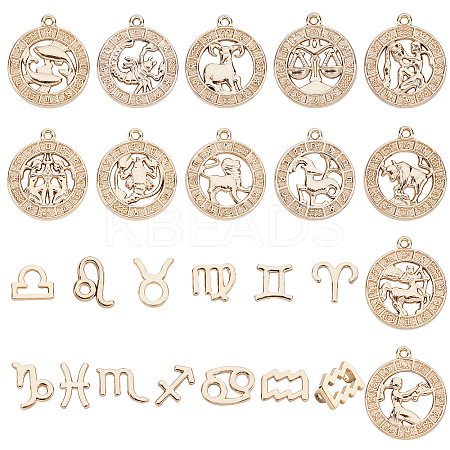 2 Bags 2 Style Alloy Pendants PALLOY-AR0001-23-1