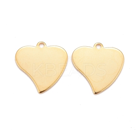 201 Stainless Steel Pendants STAS-K217-70G-1