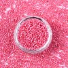 FGB 11/0 Grade A Glass Seed Beads X-SEED-S030-1144-3