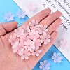 Transparent Acrylic Beads MACR-S373-107-D06-6