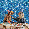 Plastic Foil Fringe Curtains DIY-WH20011-33D-5