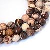 Natural Zebra Jasper Round Bead Strands G-E334-6mm-12-1