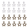 Tibetan Style Alloy Charms PALLOY-PH0005-73-1