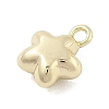 Brass Charms KK-S514-06B-G-2