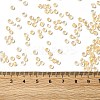 12/0 Transparent Glass Seed Beads X-SEED-F003-03C-14-4