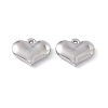 Non-Tarnish 304 Stainless Steel Pendants STAS-K242-17P-1