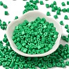 Baking Paint Glass Bead SEED-H002-K-D305-2