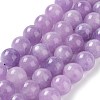 Dyed Natural Malaysia Jade Beads Strands X-G-G021-02C-05-2