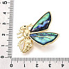 Paua Shell Pins JEWB-T005-10G-3
