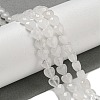 Natural Quartz Crystal Beads Strands G-P544-E14-01-1