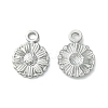 Non-Tarnish 304 Stainless Steel Charms LS-STAS-L269-056P-1