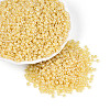 8/0 Glass Seed Beads X1-SEED-A011-3mm-142-4