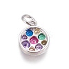 Brass Micro Pave Cubic Zirconia Charms ZIRC-E145-75P-2