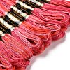 10 Skeins 6-Ply Polyester Embroidery Floss OCOR-K006-A40-2