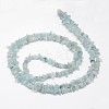 Chips Natural Aquamarine Beads Strands G-N0164-51-3