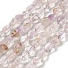 Natural Amethyst Beads Strands G-P497-01E-60-1