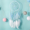 Butterfly Woven Web/Net with Feather Decorations PW-WG25226-02-1