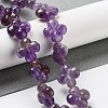 Natural Amethyst Beads Strands G-P520-A07-01-2