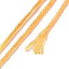 10 Skeins 6-Ply Polyester Embroidery Floss OCOR-K006-A48-3
