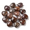Natural Petrified Wood Beads Strands G-C150-A08-01-4