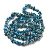 Natural Apatite Beads Strands X-G-F666-01B-02-01-3