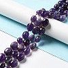 Natural Amethyst Beads Strands G-B028-B10-2