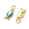 Natural Paua Shell Fish Charms KK-F926-04A-2