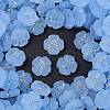 Frosted Transparent Acrylic Beads OACR-P029-19B-01-1