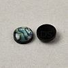 Natural Abalone Shell/Paua Shell Cabochons with Enamel BSHE-WH0006-06B-2