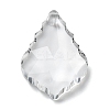 Transparent Glass Pendants GLAA-R223-16-1