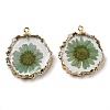 Inner Dried Flower Resin Pendants X-RESI-P028-02KCG-02-1