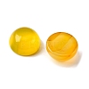 Natural Yellow Agate Cabochons G-K348-07B-03-2