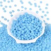 Imitation Jade Glass Seed Beads SEED-Q042-01A-C01-2