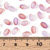 Frosted Glass Seed Beads SEED-N008-05C-4